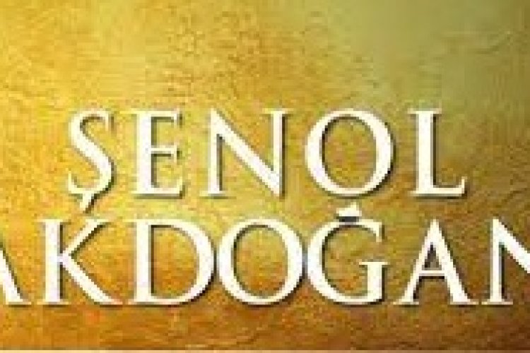 enol Akdoğan - Sen İçerde Ben Dışarda şarkı sözleri