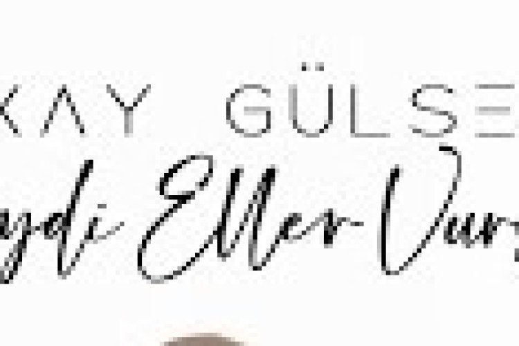 Berkay Gülseven - Gelin Damat Bizde