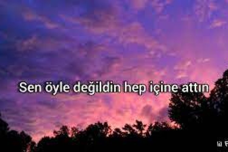 Sehabe Aydilge - Bir Ayda Unutursun