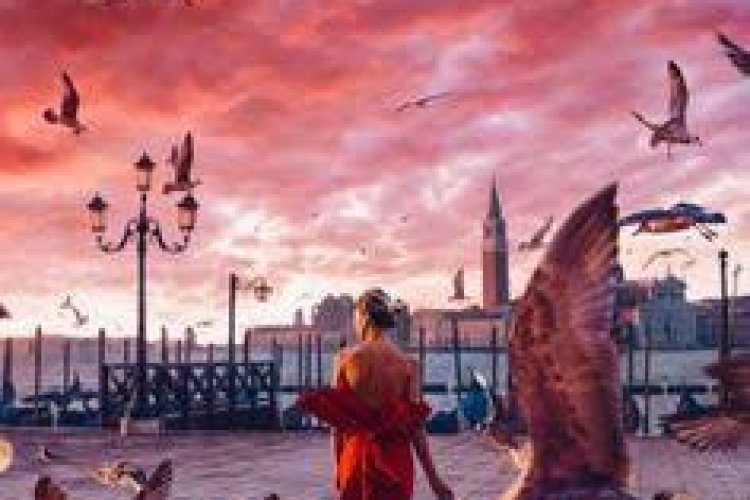Kuşların telaşından belli