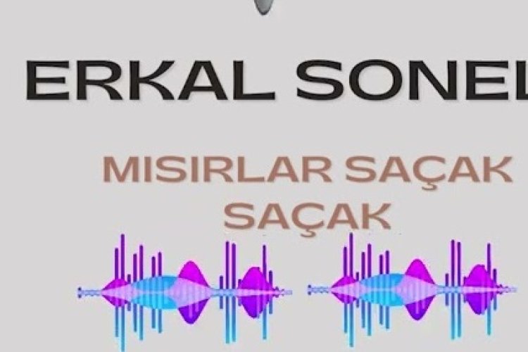 ERKAL SONEL - MISIRLAR SAÇAK SAÇAK ŞARKI SÖZLERİ