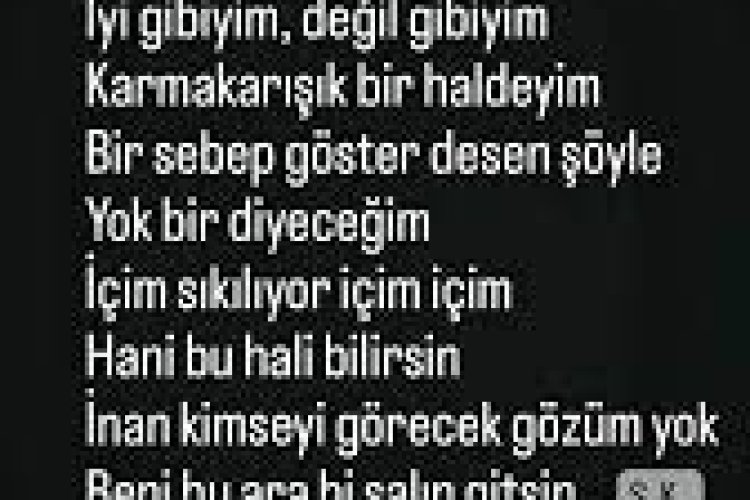 Sadık Karan - Bilemezsin şarkı sözleri