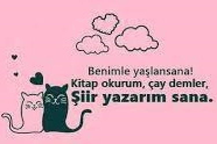 aşık edici sözler