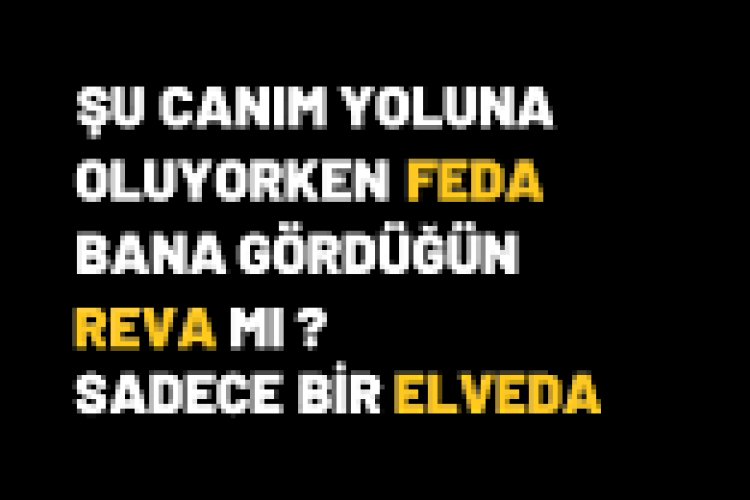 Oktay Kaya - Reva
