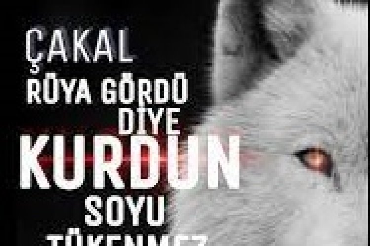 bozkurt aşk sözleri