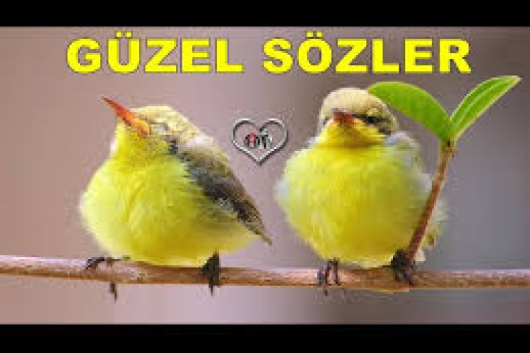 manalı kısa güzel sözler