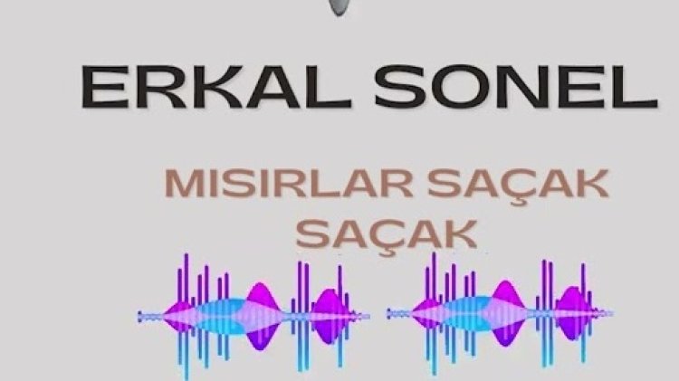 ERKAL SONEL - MISIRLAR SAÇAK SAÇAK ŞARKI SÖZLERİ