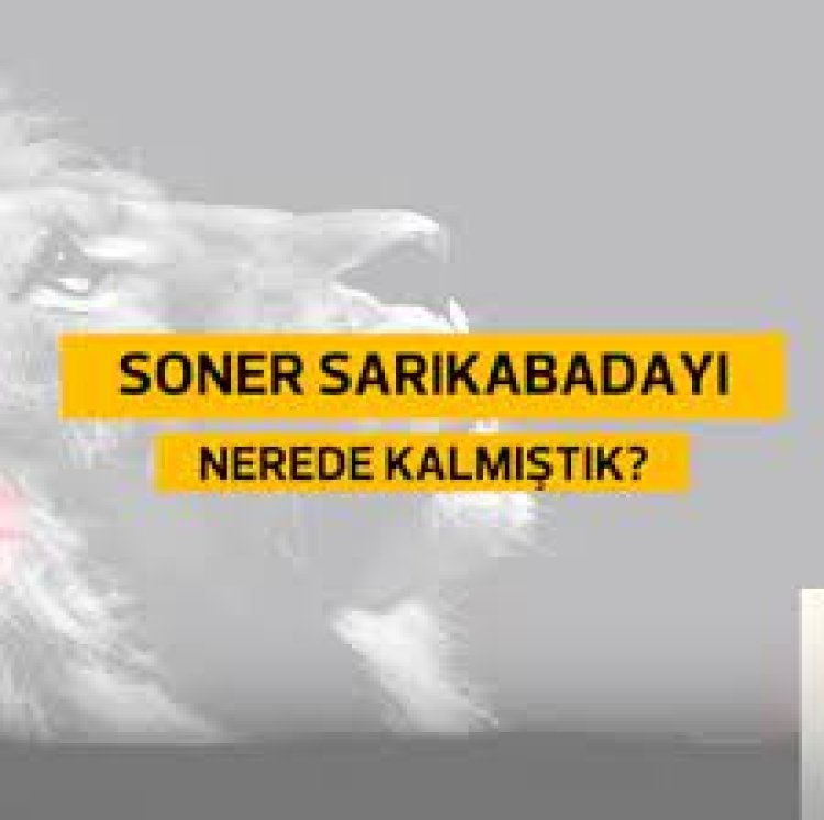 Soner Sarıkabadayı - Koparılan Çiçekler Şarkı Sözleri