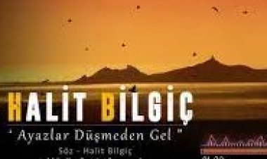 Halit Bilgiç - Ayazlar Düşmeden Gel Şarkı Sözleri