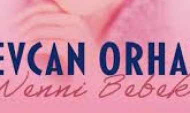 Sevcan Orhan - Vay Canım Şarkı Sözleri