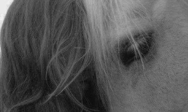 Günaydınlar mutlu sabahlar herkese sevgiyle