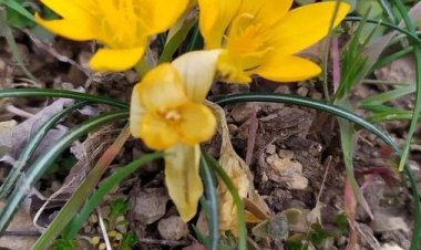 En Güzel Sahur Mesajları