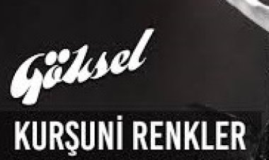 Göksel - Kurşuni Renkler  şarkı sözleri