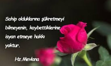 şükretmek ile ilgili sözler