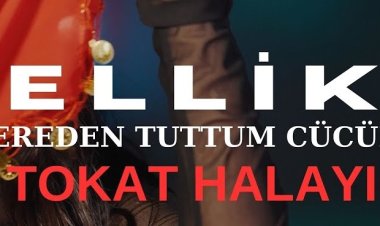 Aylin Demir - Ellik - Dereden Tuttum Cücük şarkı sözleri