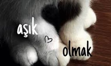 Boramess - Aşık Olmak ŞARKI SÖZLERİ