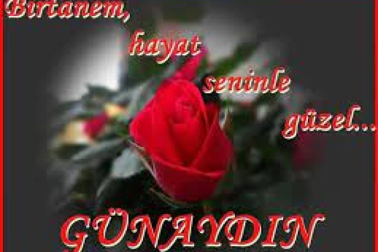 günaydın canım mesajları