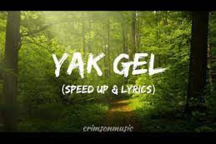 Semicenk - Yak Gel şarkı sözleri