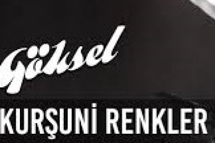 Göksel - Kurşuni Renkler şarkı sözleri