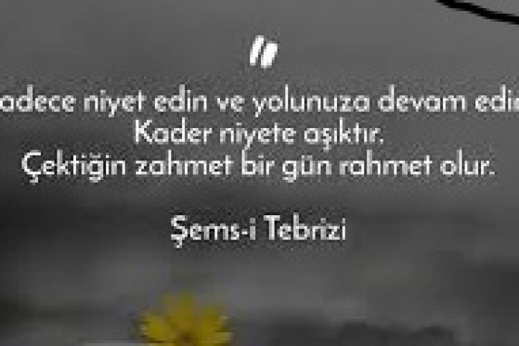 hayatla ilgili sözler