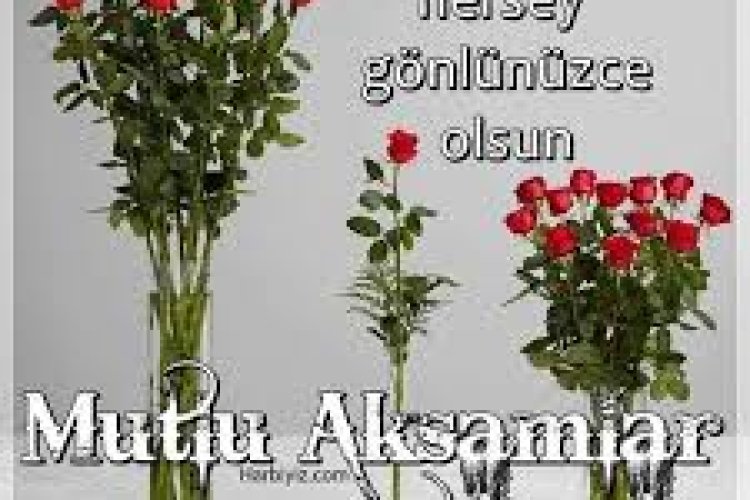 Mutlu , huzurlu akşamlarınız olsun