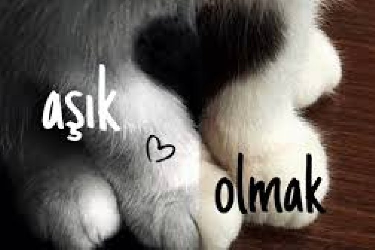 Boramess - Aşık Olmak ŞARKI SÖZLERİ