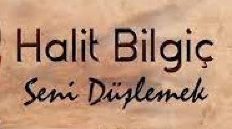 Halit Bilgiç - Seni Düşlemek şarkı sözleri