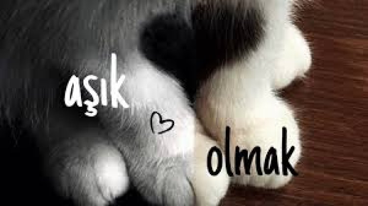 Boramess - Aşık Olmak ŞARKI SÖZLERİ