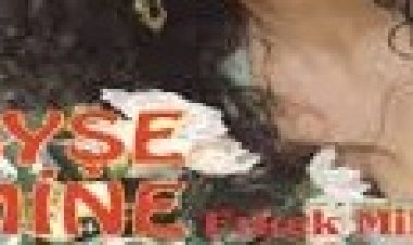 Ayşe Mine - Erkek Milleti Şarkı Sözleri