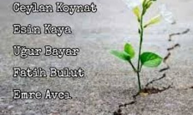 Esin Kaya - Reva Mıdır Bu Gönlüme Şarkı Sözleri