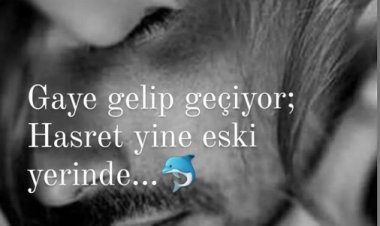 Herkesin koynuna girip çıkarsın da