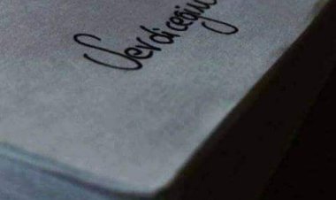 Sen şehri seyredersinBir çift göz seni