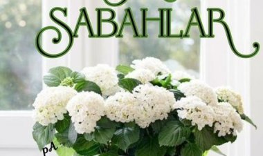 Günaydın...Neşeli ve bol gülüşlü günler