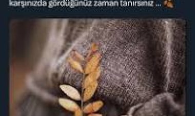 Tökezlemek de iyidir bazen