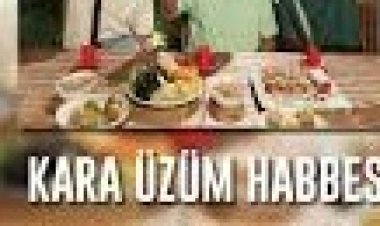 TEFO, SEKO, İBRAHİM TATLISES - TABİ TABİ ŞARKI SÖZLERİ