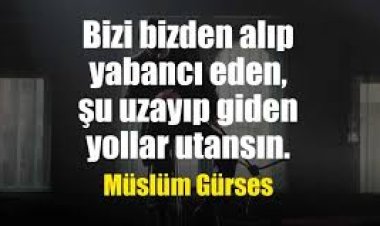 Müslüm Gürses - Sevda Kurbanı Şarkı Sözleri