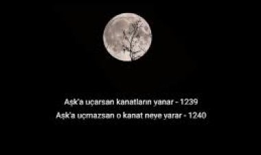 HiraiZerdüş - Aşka uzandım kanadım yandı Şarkı Sözleri