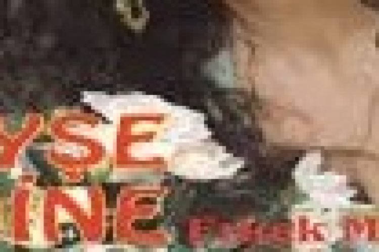 Ayşe Mine - Erkek Milleti Şarkı Sözleri