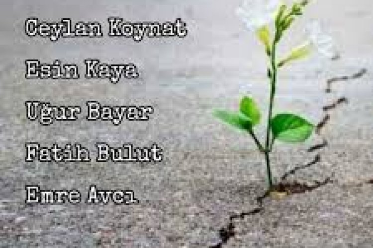 Esin Kaya - Reva Mıdır Bu Gönlüme Şarkı Sözleri