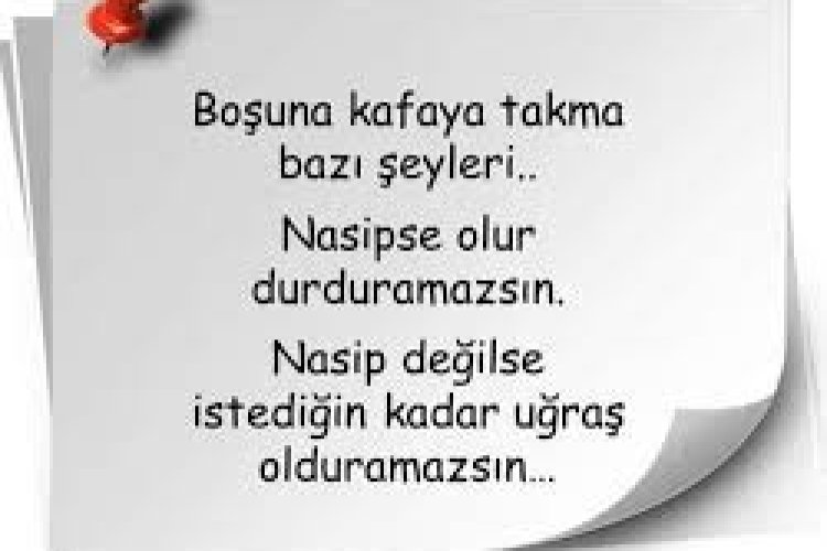 Herşey nasiple