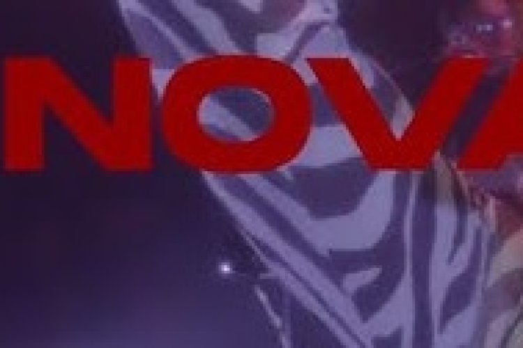 Nova Norda - Intro Şarkı Sözleri
