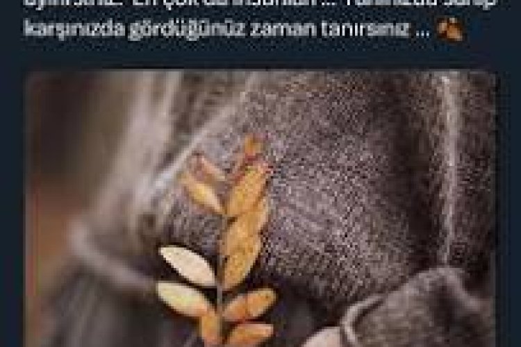 Tökezlemek de iyidir bazen