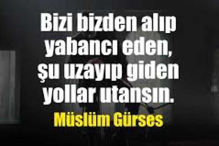 Müslüm Gürses - Sevda Kurbanı Şarkı Sözleri