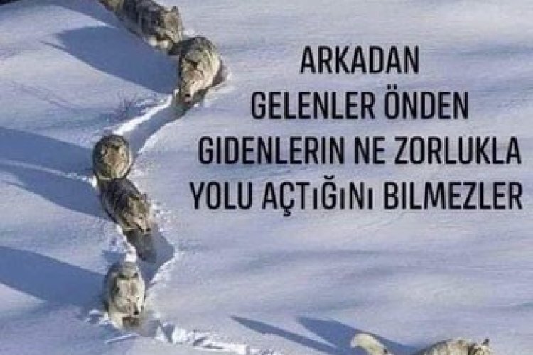 Tarihimizi önce sevelim