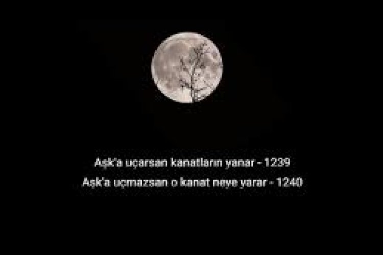 HiraiZerdüş - Aşka uzandım kanadım yandı Şarkı Sözleri