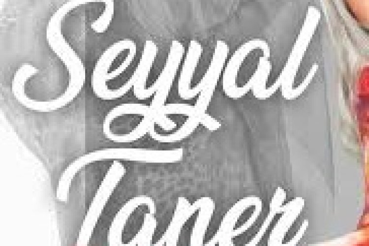 Seyyal Taner - Saldım Yakasını Şarkı Sözleri