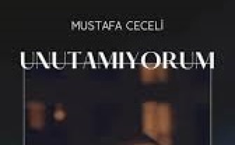 Mustafa Ceceli - Unutamıyorum şarkı sözleri