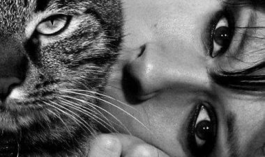 Sen ister dostum ol ister sevgilim