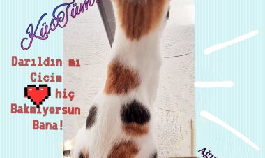 KüSTüm- BaRışaLıM