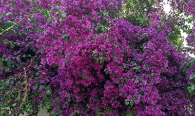 Yorgunsun, dinlenemiyorsun